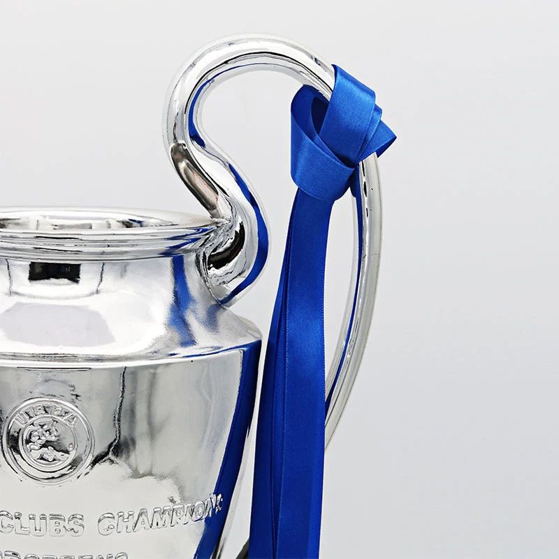 European Champion Cup Trophy - Image 5